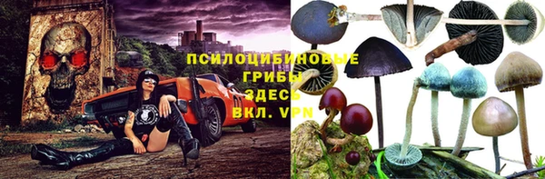 Альфа ПВП Абаза