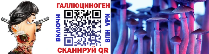 купить   Верхоянск  Псилоцибиновые грибы Psilocybine cubensis 